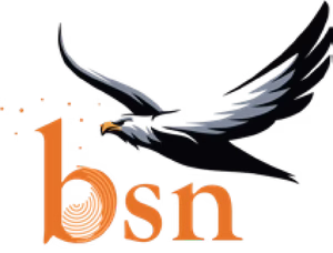 BSN logo